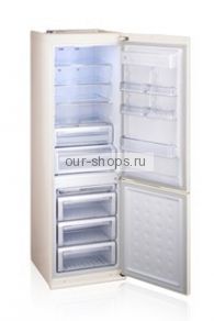 Холодильник Samsung RL52TEBVB1